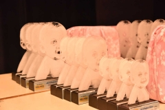 40588381_2024196280952959_6992370537875898368_o_2024196267619627