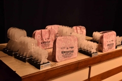 40592157_2024196454286275_445603647233982464_o_2024196447619609