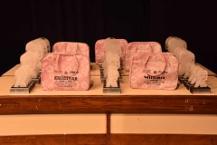 40621627_2024196287619625_7269873859543695360_o_2024196277619626